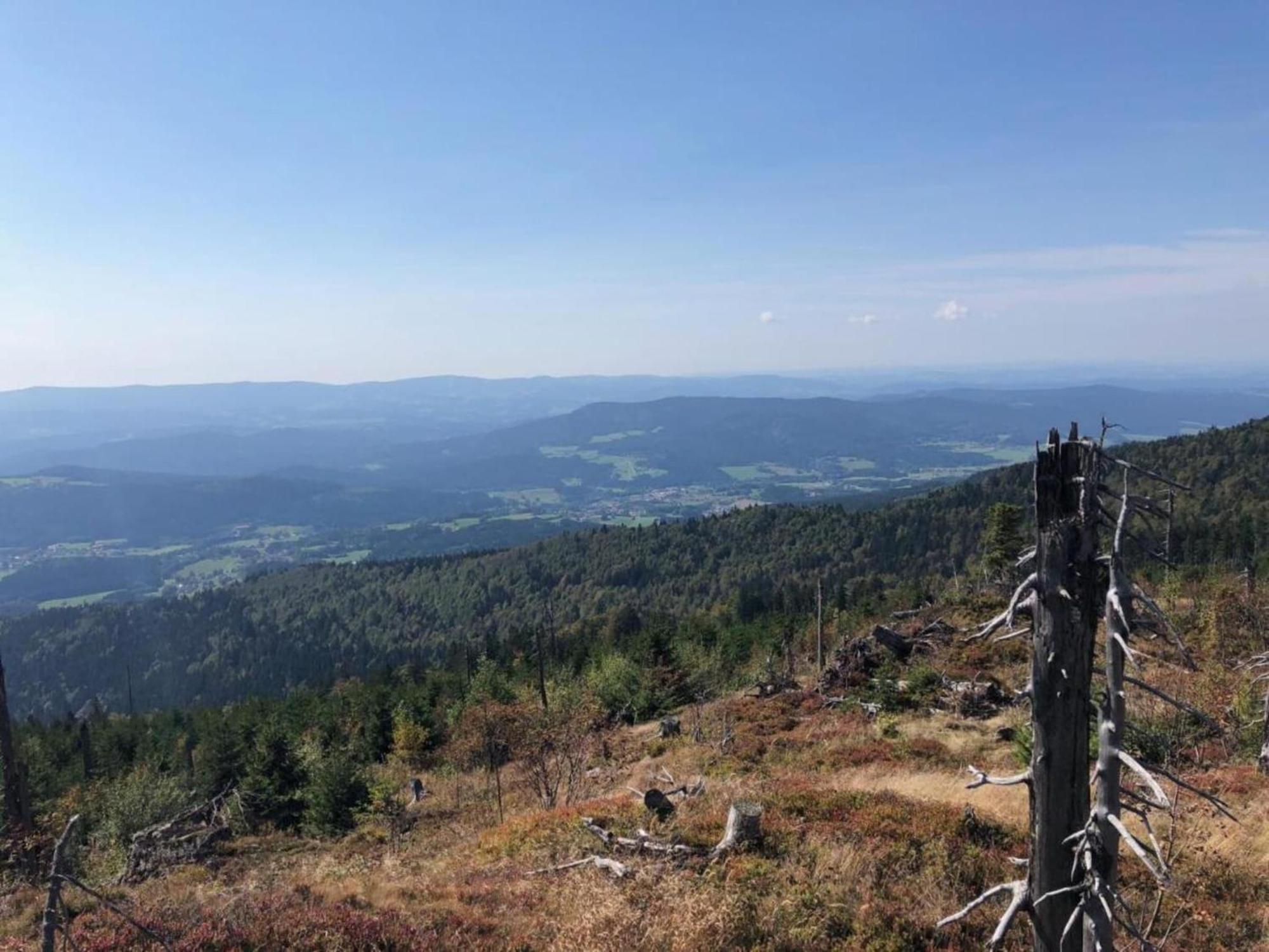 Apartment In The Bavarian Forest With Balcony Драксельсрід Екстер'єр фото